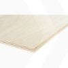 22mm GARNICA populieren multiplex, kwaliteit B/BB onbehandeld - 250x122cm
