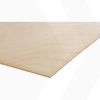 4mm Okoume multiplex - kwaliteit B/BB, onbehandeld - 310x153cm