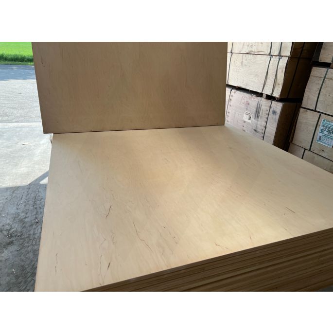 PAK A 24 STUKS - 18mm berken multiplex BB/BB 153x153cm (pakketnr. PAK0006450)