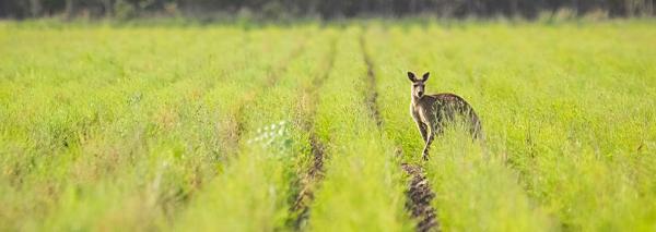 Test bericht Test bericht